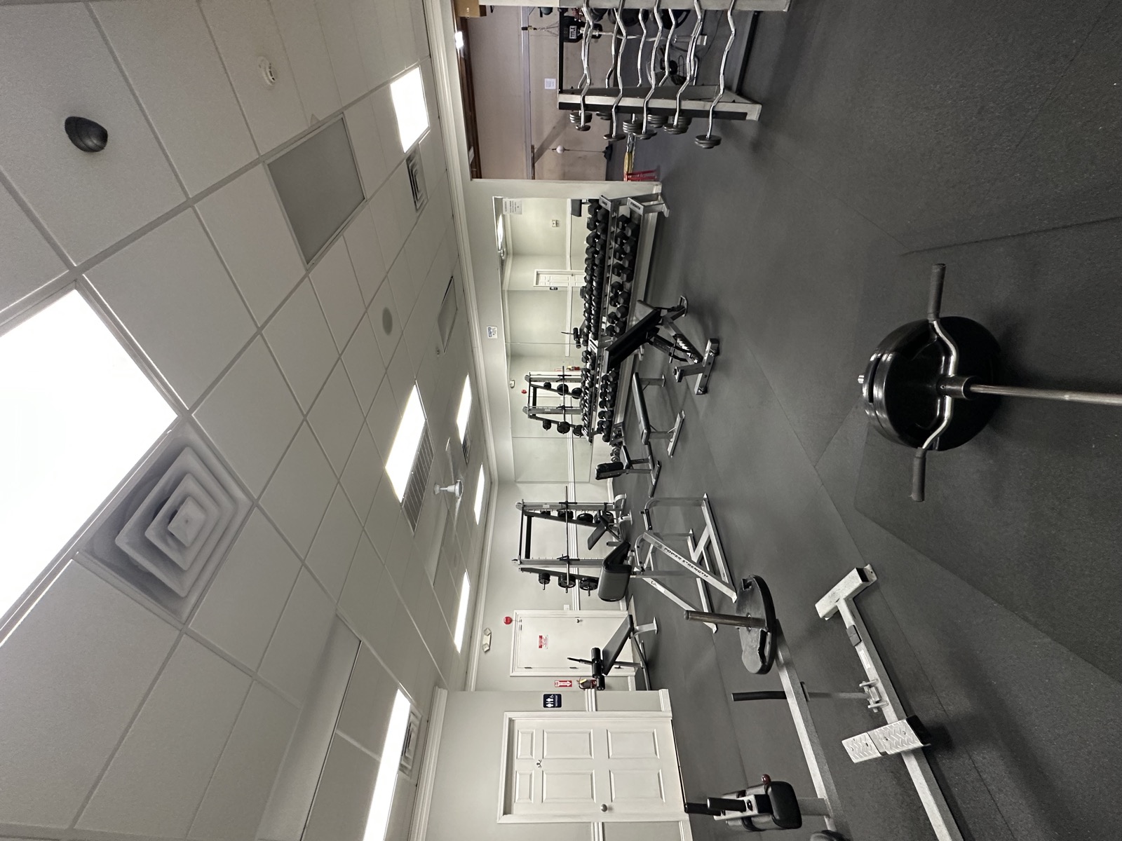 Free weights