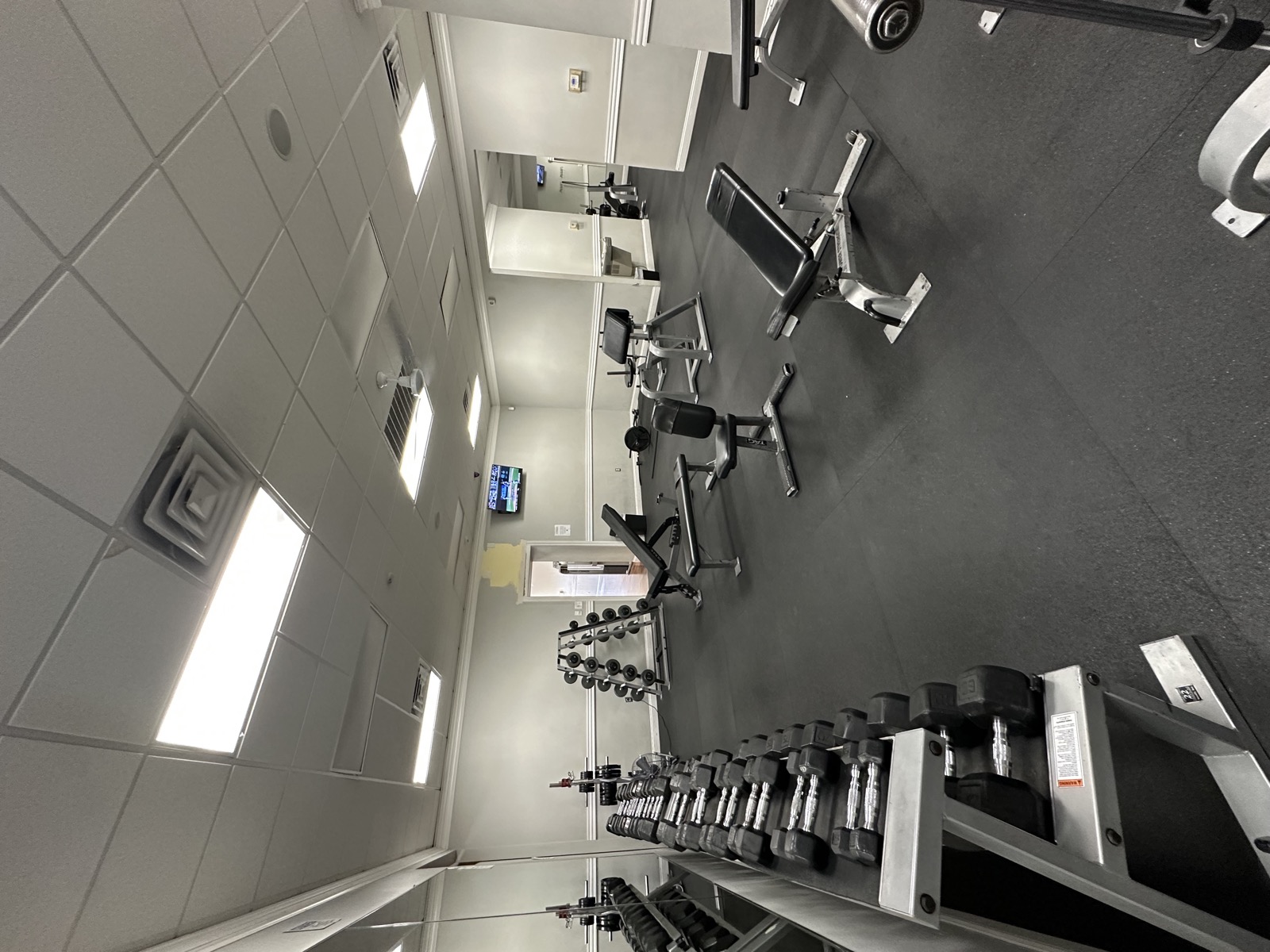 Free weights